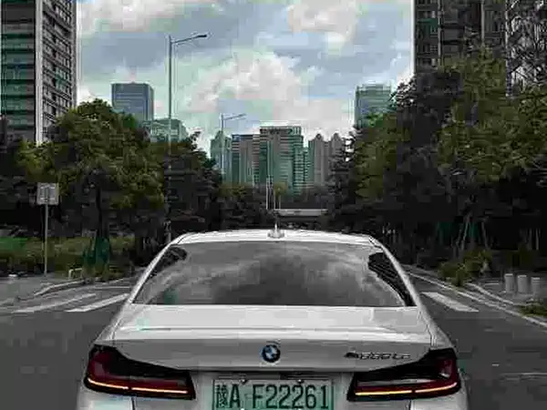 BMW 5 Series New Energy 2021