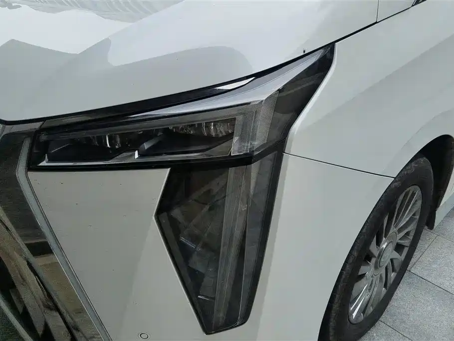 GAC Motor Trumpchi M8 2023 — фото 5