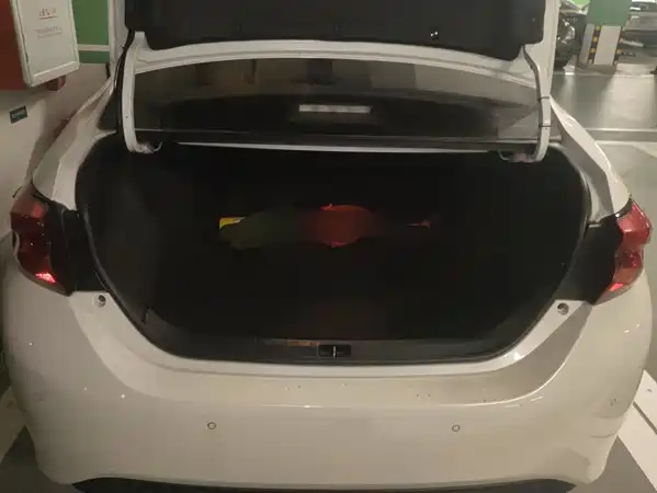 Toyota Levin 2019