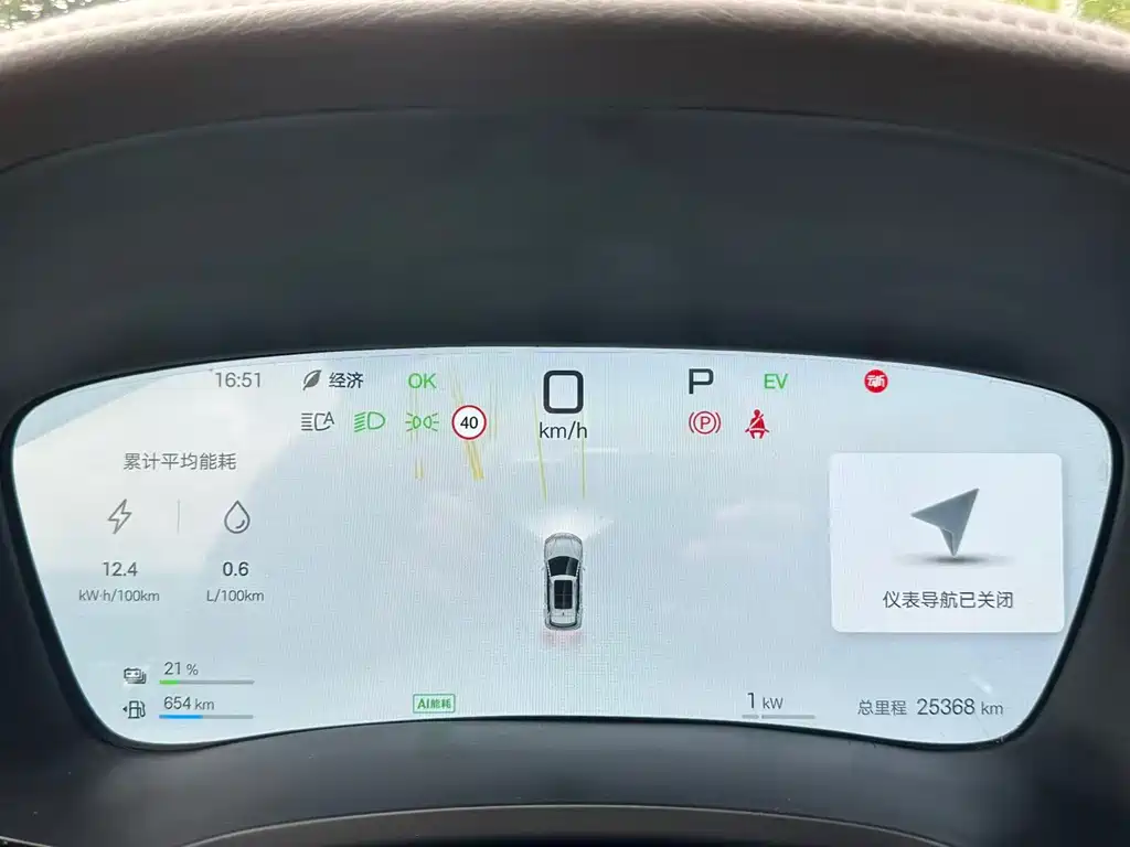 BYD PLUS New Energy 2025 — фото 20