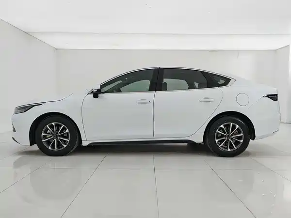 BYD Destroyer 05 2024
