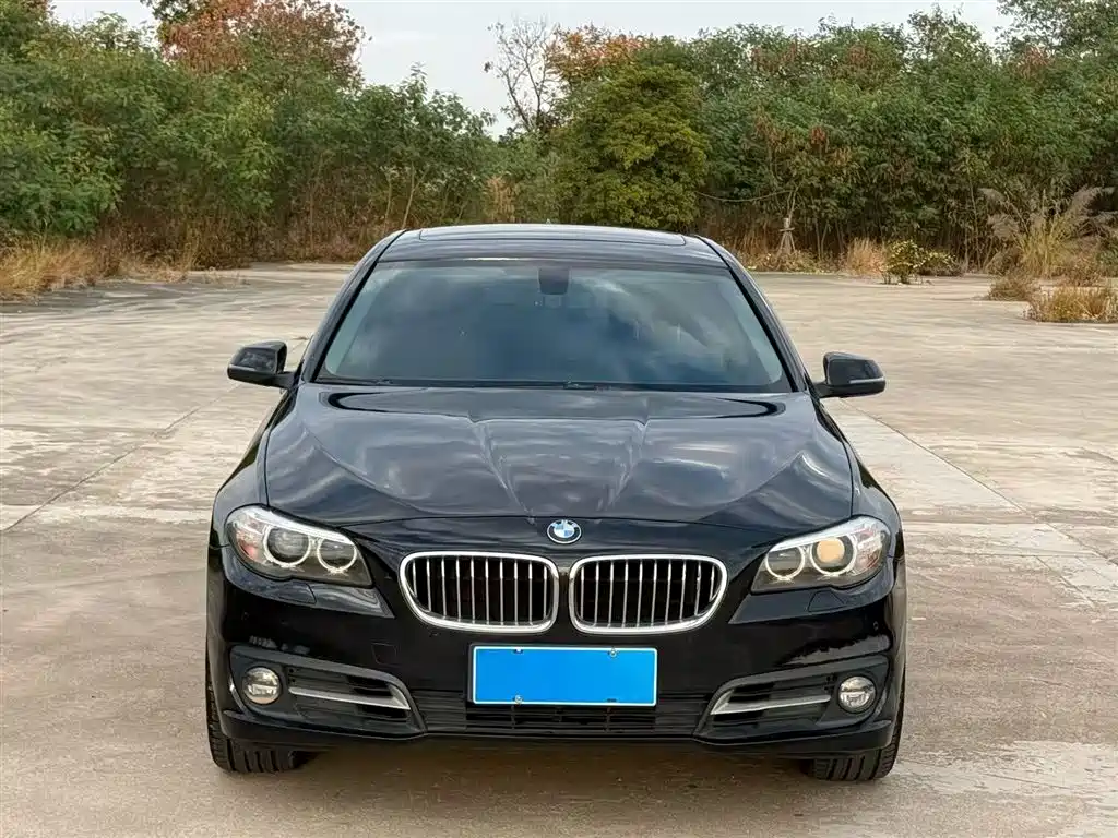 BMW 5 Series 2015