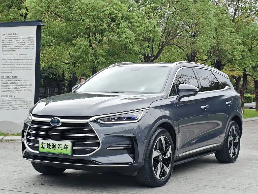 BYD Tang New Energy 2023 — фото 1