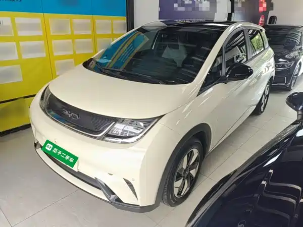 BYD Dolphin 2024