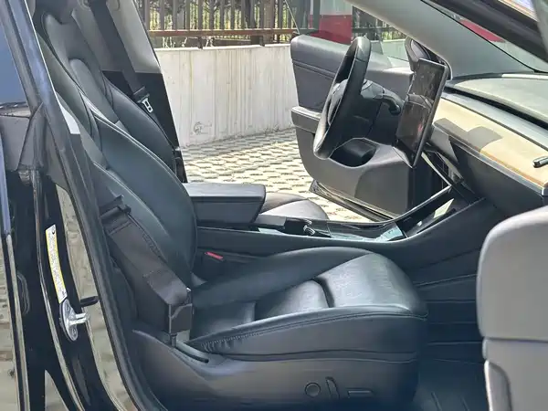 Tesla Model 3 2019