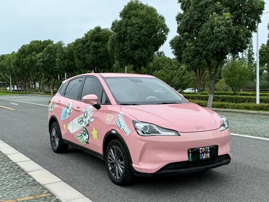 Neta V 2021