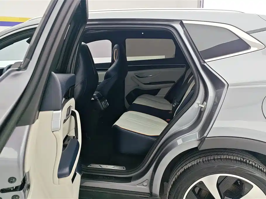BYD PLUS New Energy 2023 — фото 11