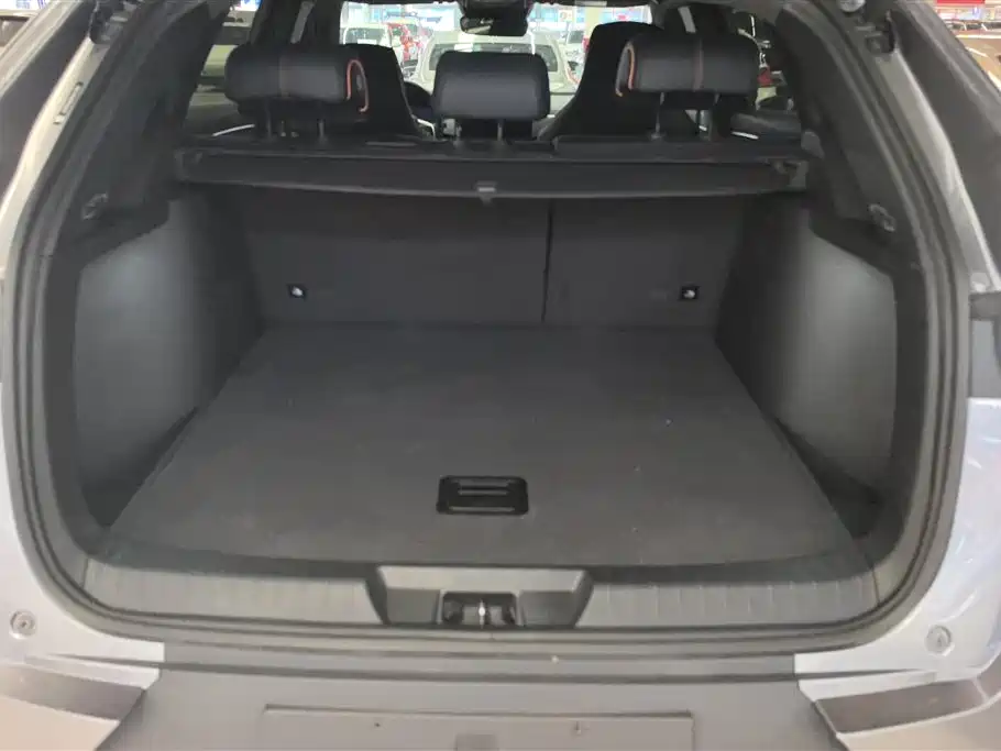 BYD PLUS New Energy 2023 — фото 4