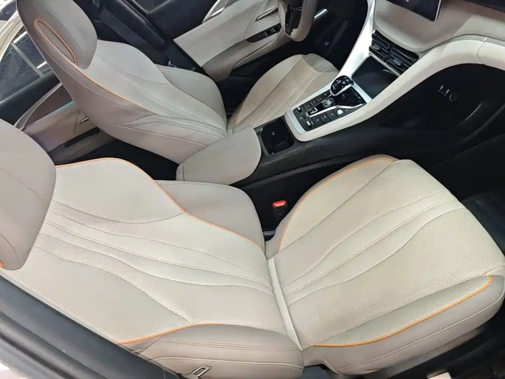 BYD Pro New Energy 2024 — фото 25