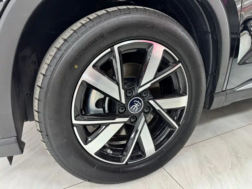 BYD Pro New Energy 2024 — фото 11