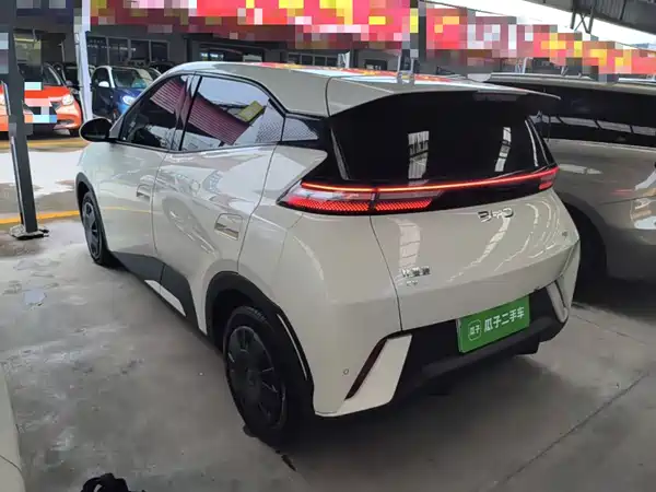 BYD Seagull 2024