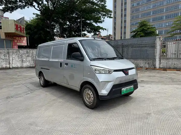 Wuling EV50 2021