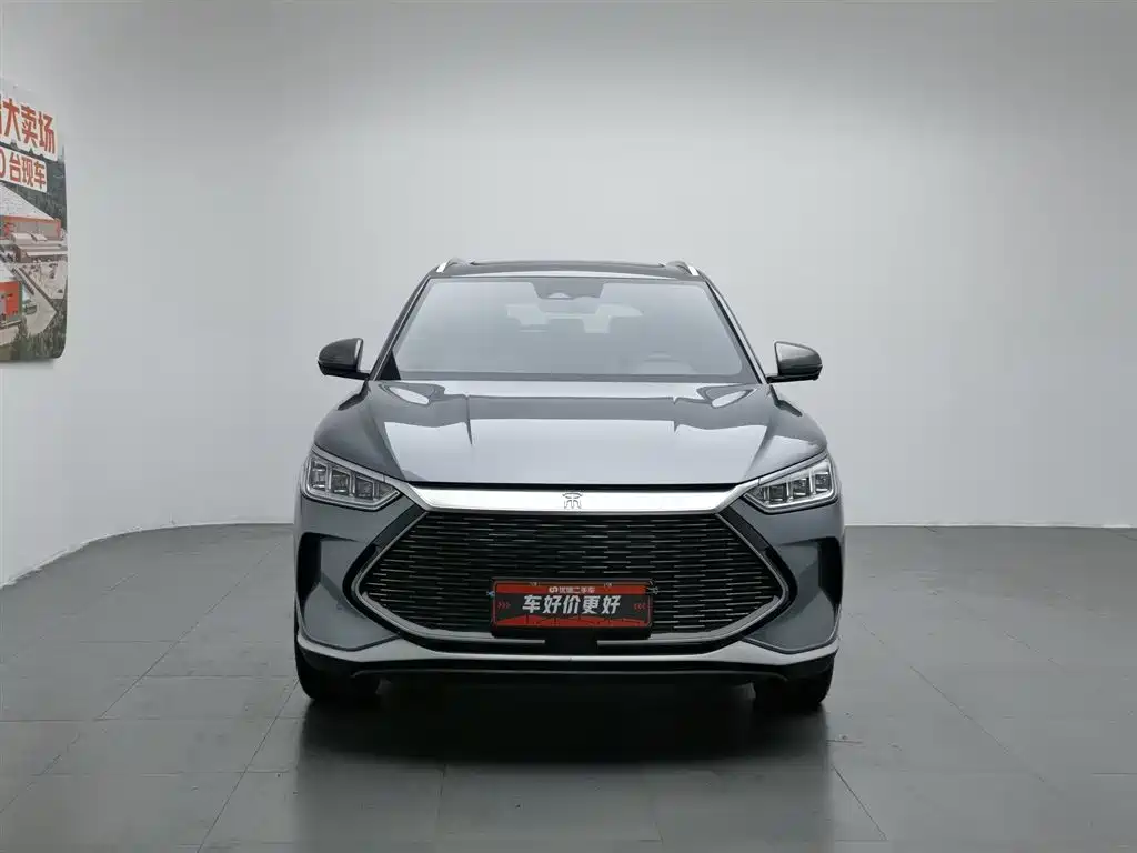 BYD PLUS New Energy 2023 — фото 3