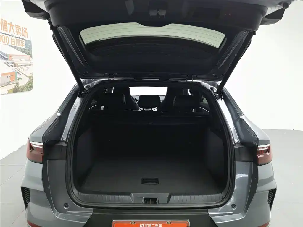 BYD PLUS New Energy 2023 — фото 16