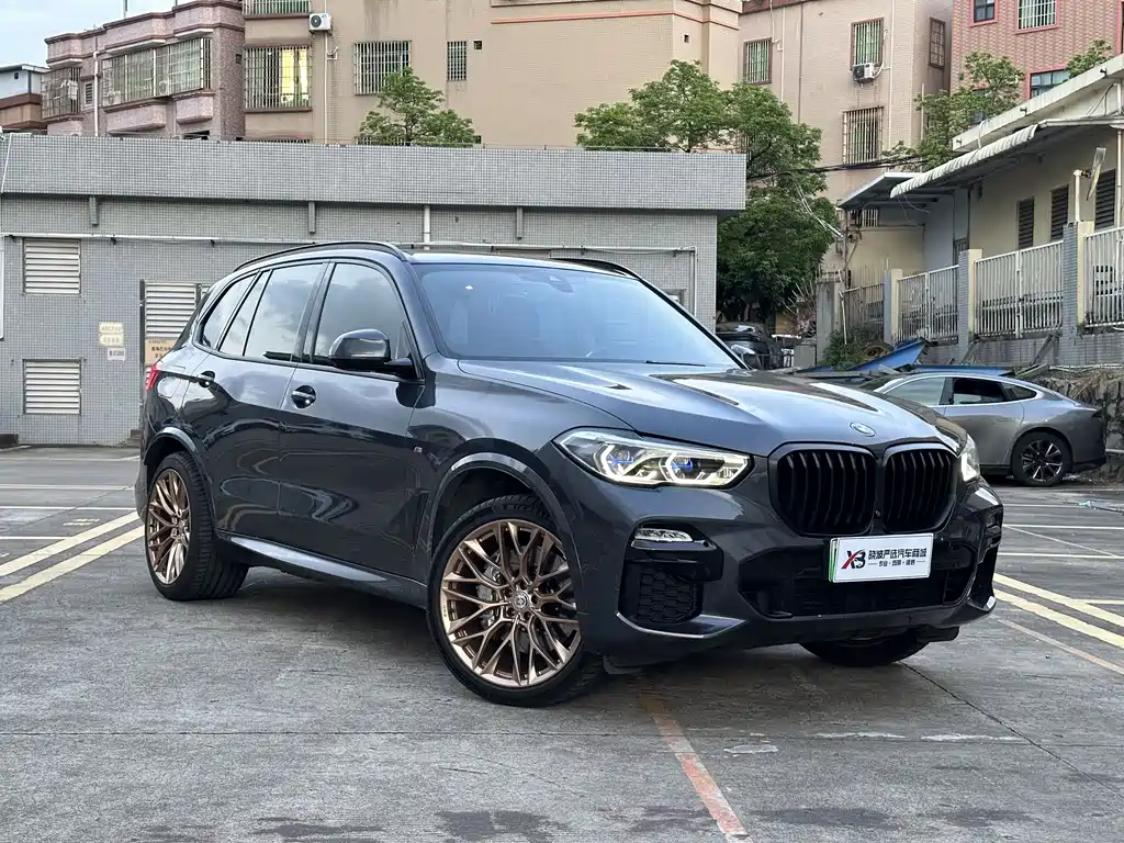 BMW X5 New Energy 2021 — фото 20