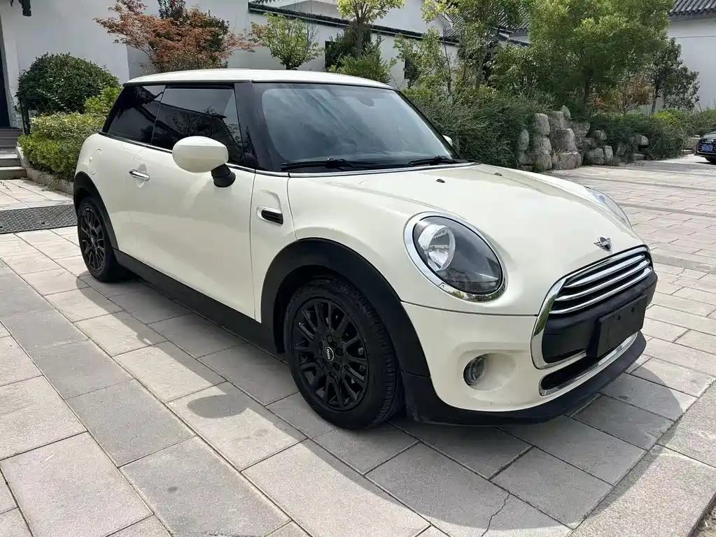 MINI MINI 2019