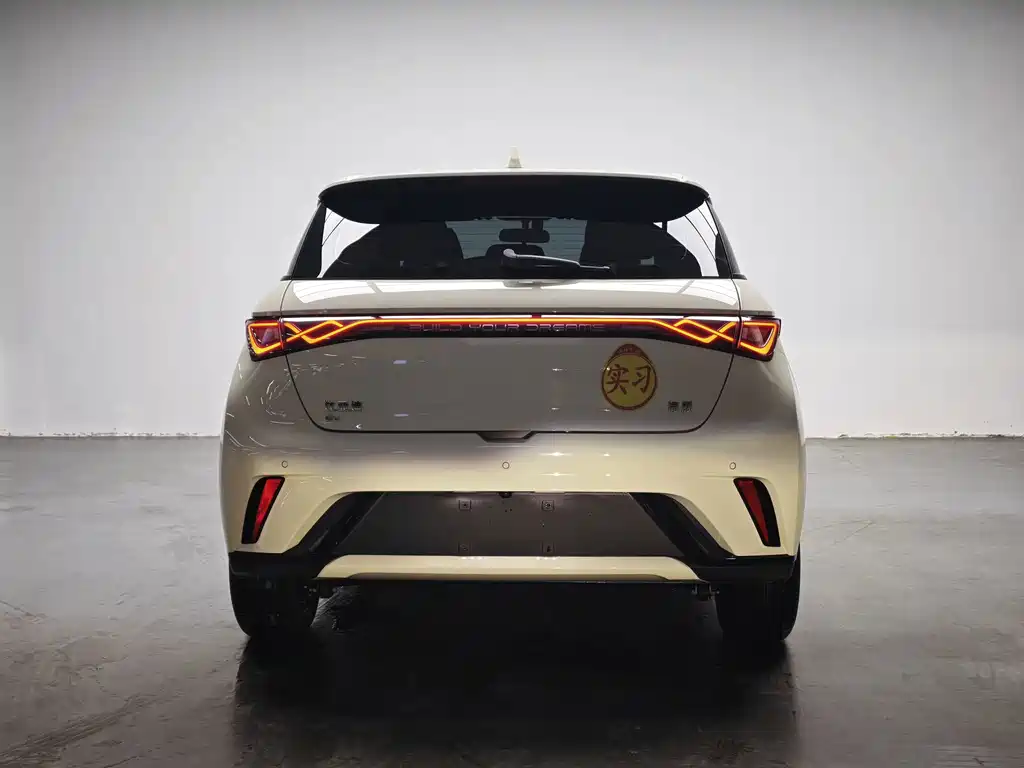 BYD Dolphin 2025