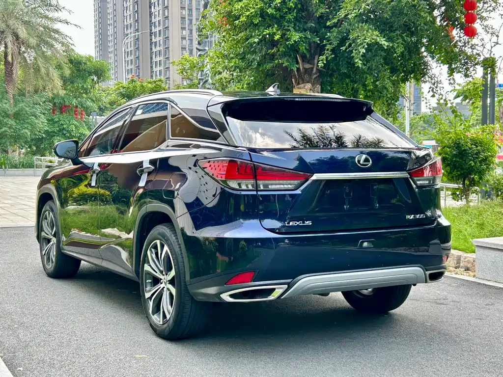 Lexus RX 2022 — фото 6