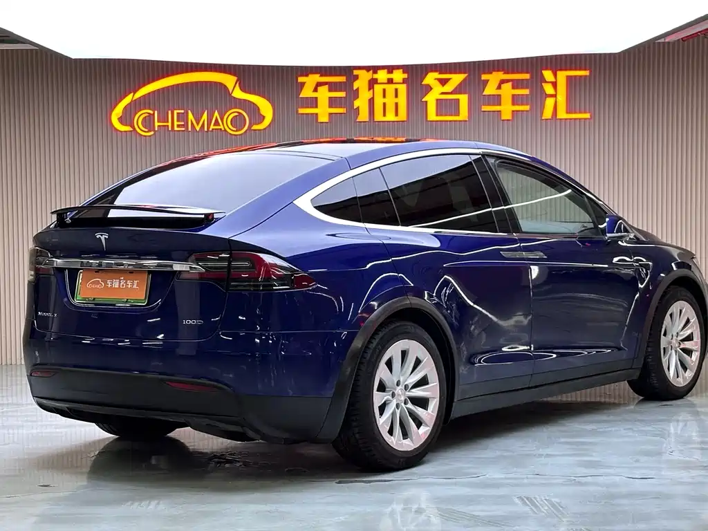 Tesla Model X 2018 — фото 24