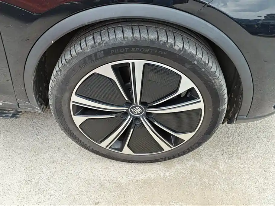 BYD Tang New Energy 2022