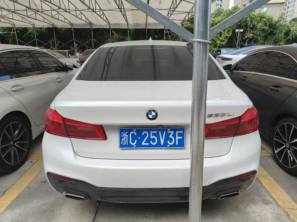 BMW 5 Series 2019