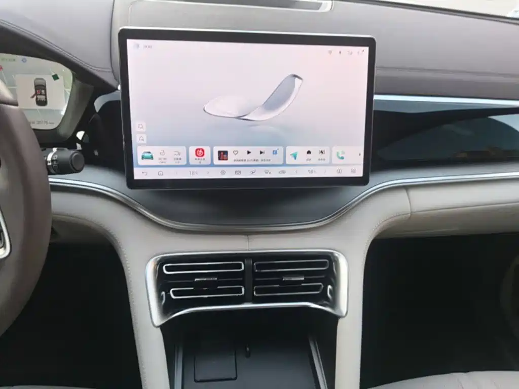 BYD Song PLUS New Energy 2025 — фото 13