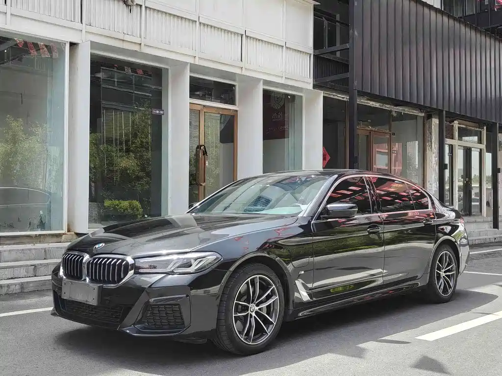 BMW 5 Series New Energy 2021 — фото 1