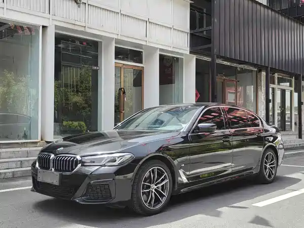 BMW 5 Series New Energy 2021