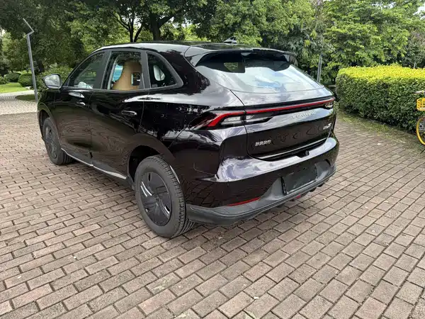 Dongfeng Xinghai X5 2025