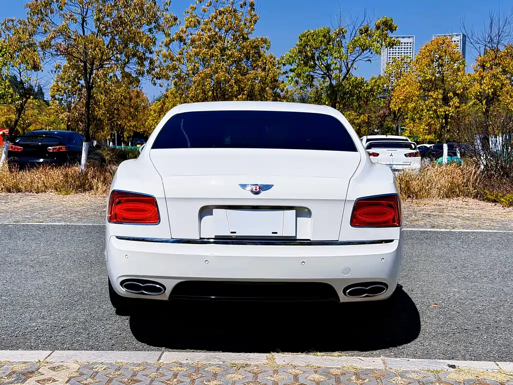 Bentley Flying Spur 2020 — фото 19