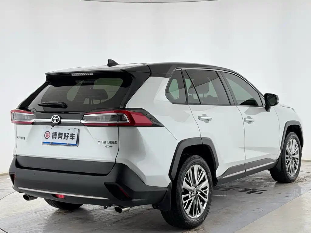 Toyota Wildlander 2020