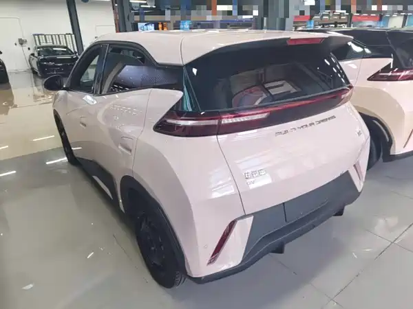 BYD Seagull 2024
