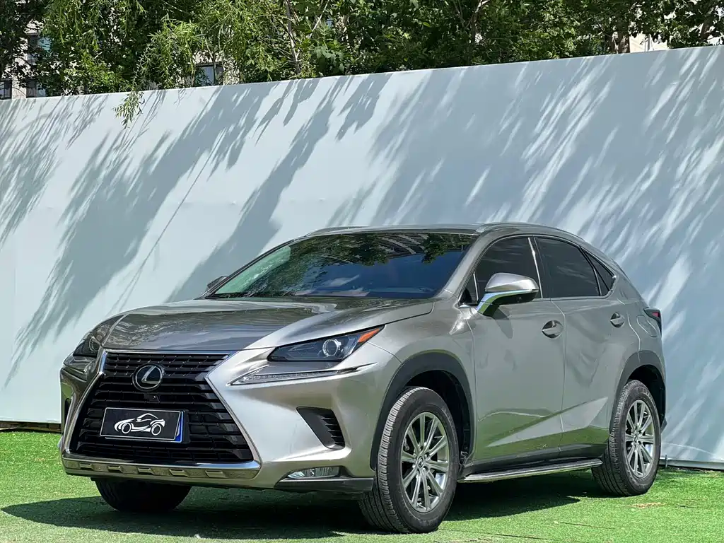 Lexus NX 2021 — фото 1