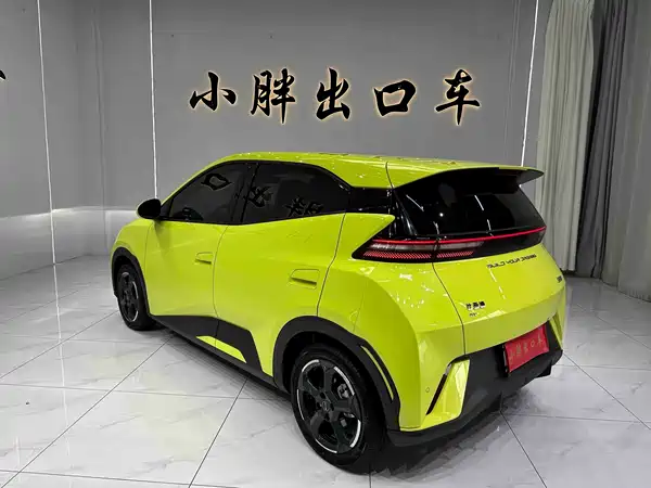 BYD Seagull 2024