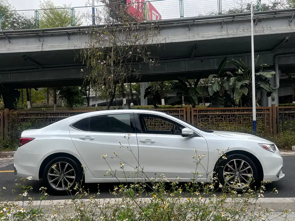 Acura TLX-L 2018 — фото 10