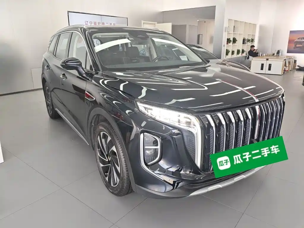 Hongqi HS7 PHEV 2024 — фото 22