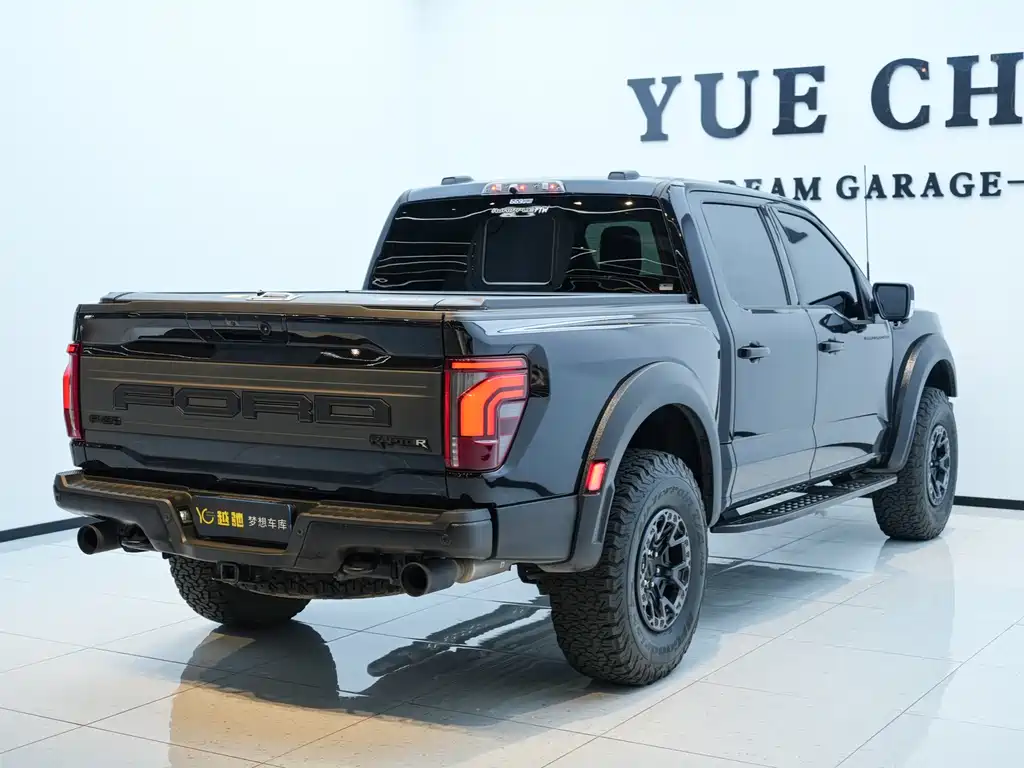 Ford F-150 Raptor 2024 — фото 6