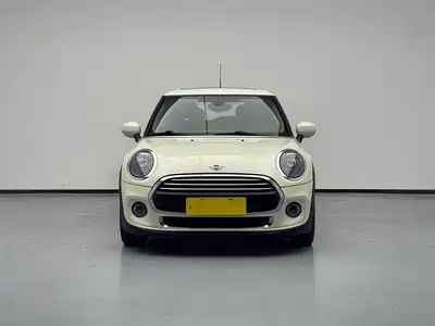 MINI MINI 2021