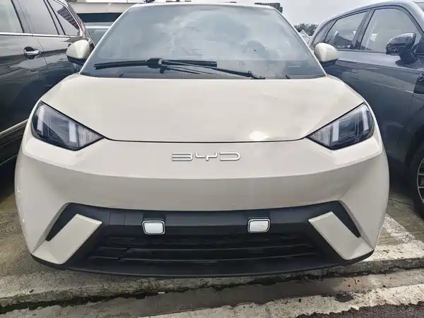 BYD Seagull 2024