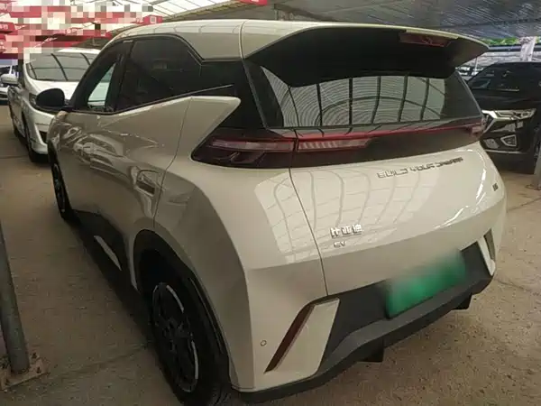 BYD Seagull 2024