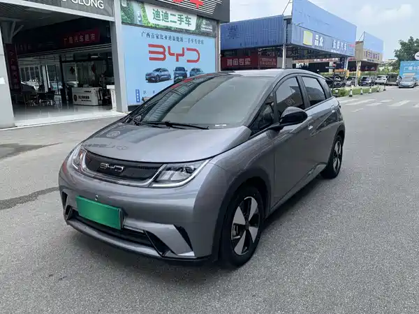 BYD Dolphin 2024