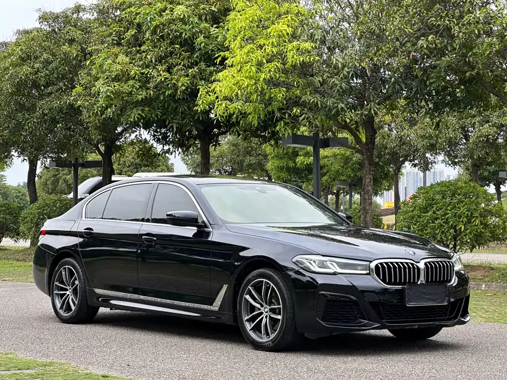 BMW 5 Series 2021