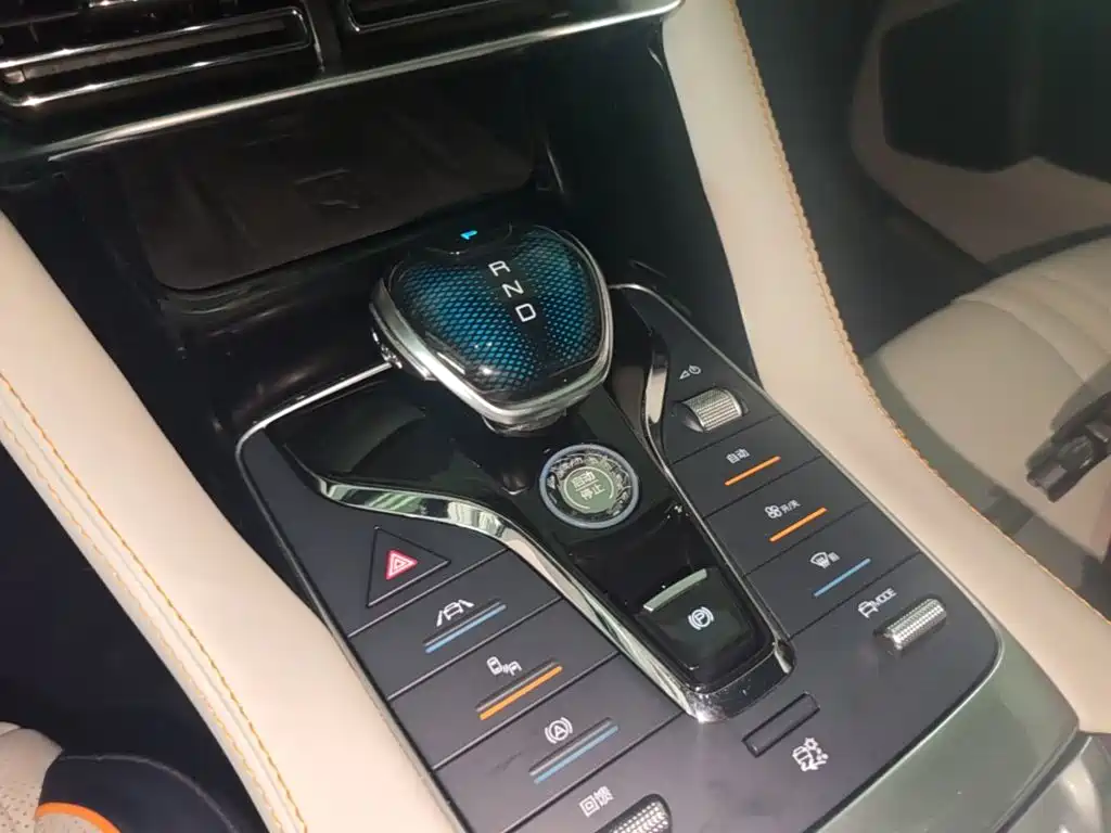 BYD Song PLUS New Energy 2021 — фото 14