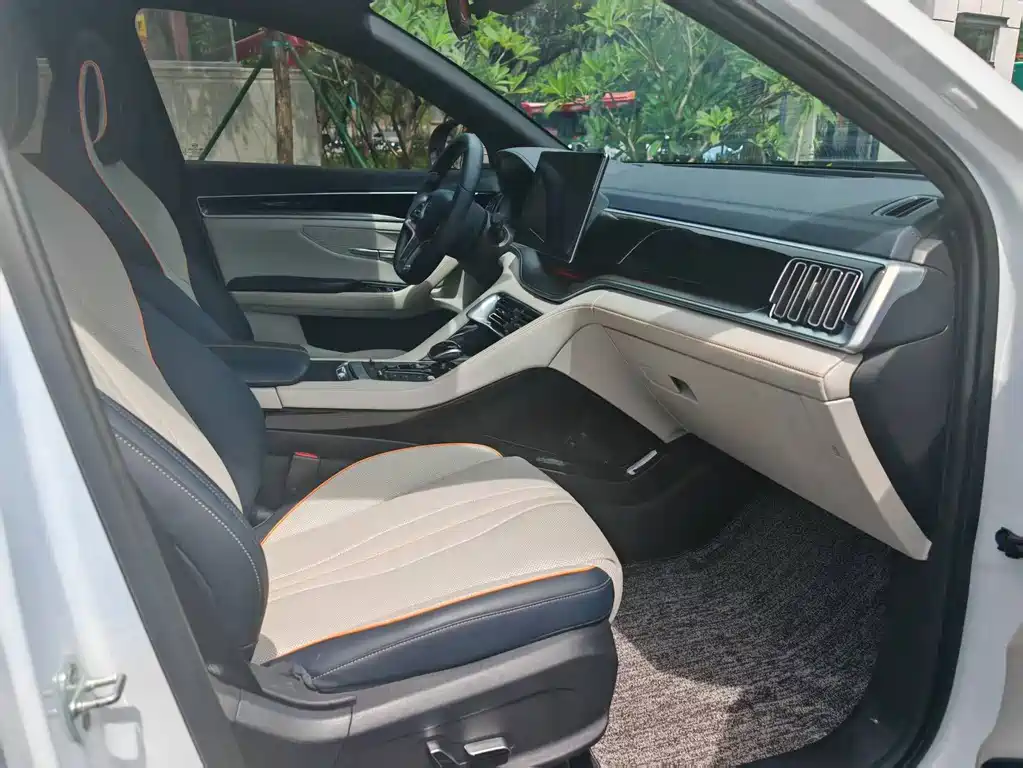 BYD Song PLUS New Energy 2022 — фото 12