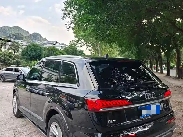 Audi Q7 2022