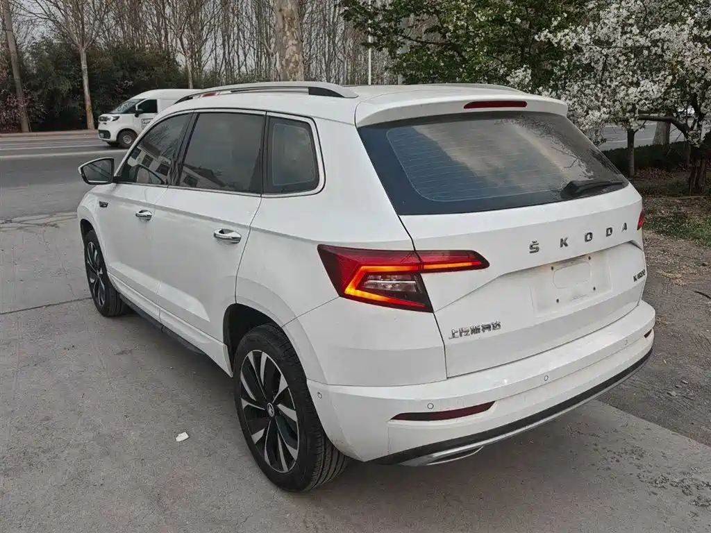 Skoda Karoq 2024 — фото 9