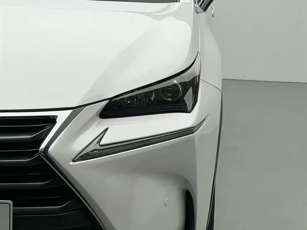Lexus NX 2017 — фото 14