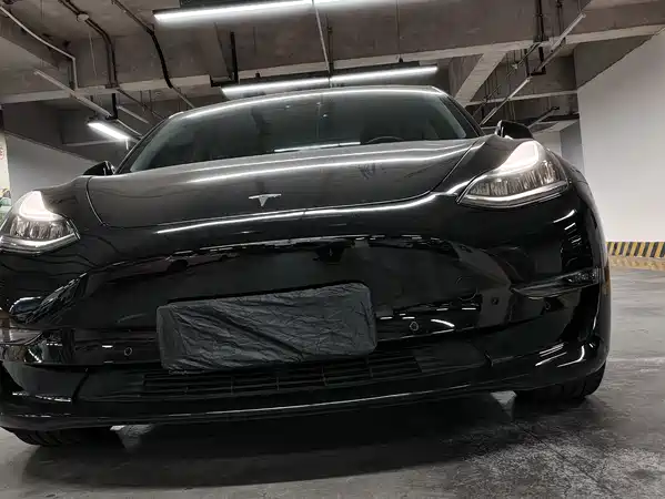 Tesla Model 3 2019