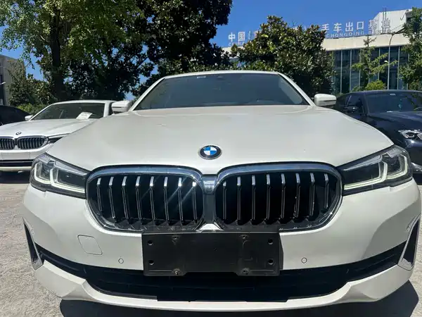 BMW 5 Series 2020