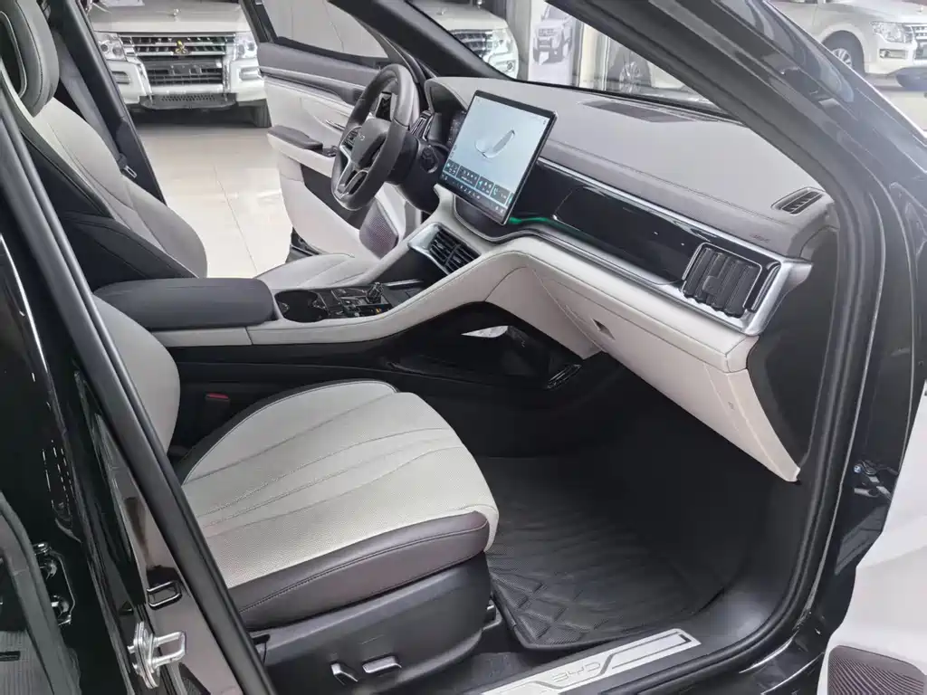 BYD Song PLUS New Energy 2024 — фото 13